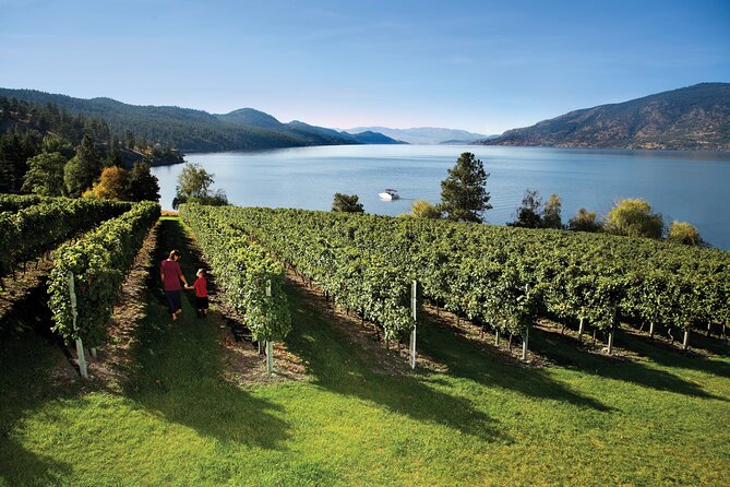 Kelowna South Slopes Wine Tour - 5 wineries on the tour - Key points at a glance