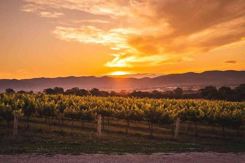 Kelowna: Sunset Sip Wine Tour - Dinner is the tour’s most useful extra