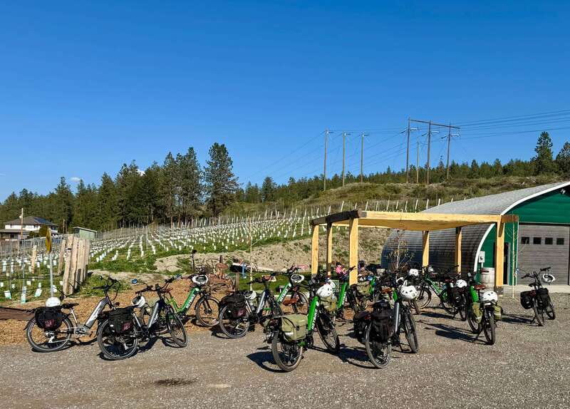 Kelowna: Wine Tasting by E-bike, Smartphone Guide & Lunch - Key points at a glance