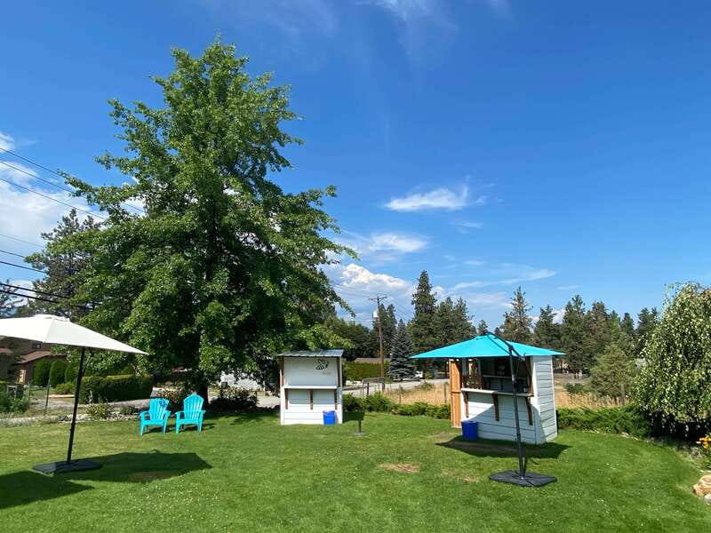 Kelowna: Wine Tasting by E-bike, Smartphone Guide & Lunch - Practical tips for a smoother day