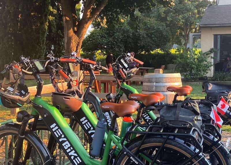 Kelowna: Wine Tasting by E-bike, Smartphone Guide & Lunch - Meadow Vista Honey Wines and the farm-to-table lunch