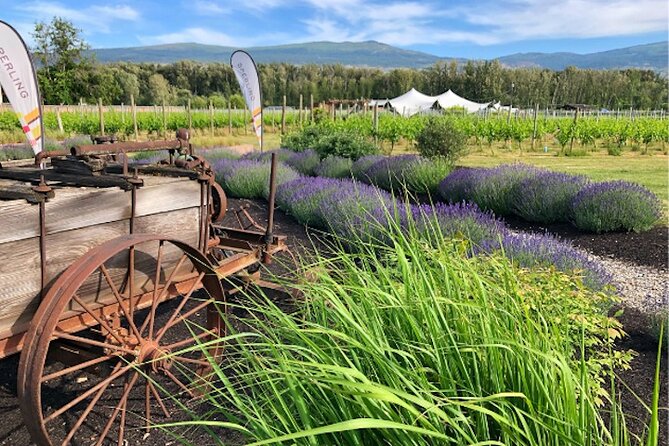 Kelowna Wine Tour by E-bike, Okanagan Valley Views and Lunch - A wine tour that puts you in the driver’s seat