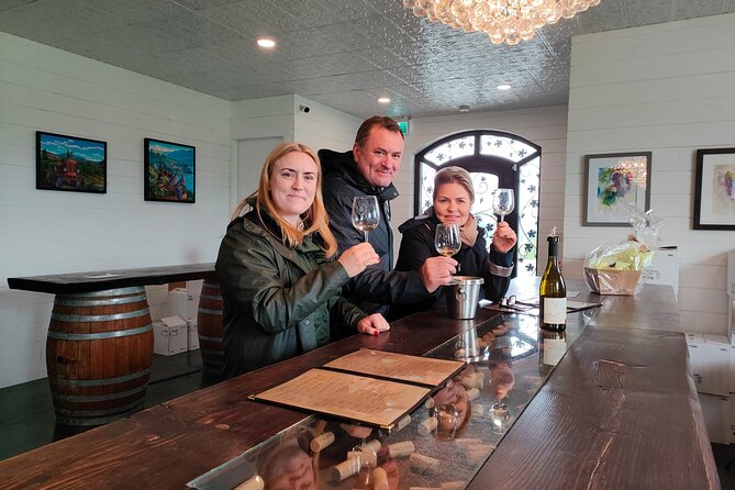 Kelowna Wine Tour by E-bike, Okanagan Valley Views and Lunch - Who will enjoy this most?