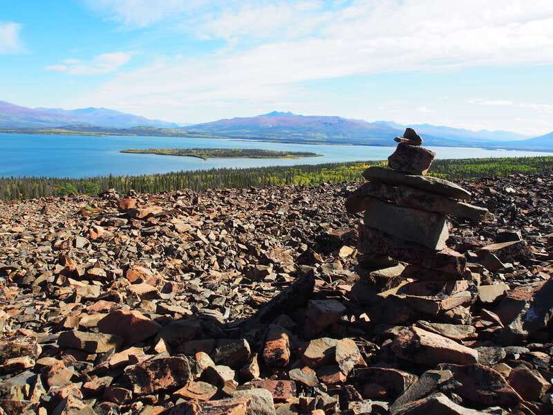 Kluane National Park: Full Day Tour - Who Should Book This Tour?
