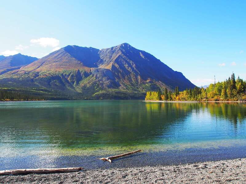 Kluane National Park: Full Day Tour - Practical Details Before You Go