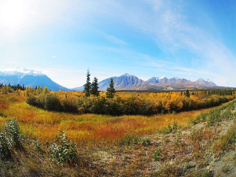 Kluane National Park: Full Day Tour - The Alaska Highway and the First Mountain Views