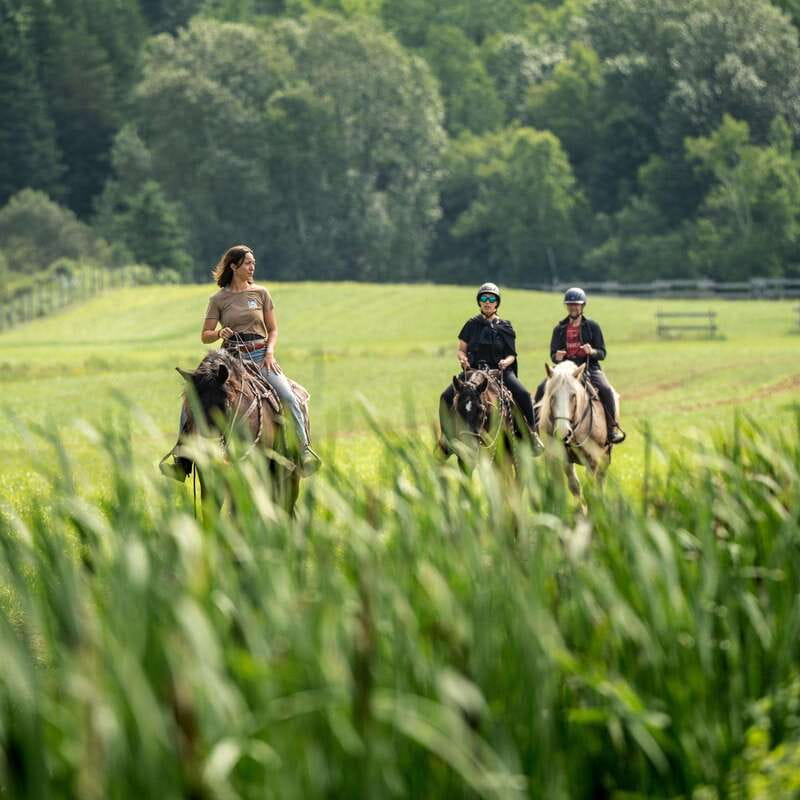La Bleuetière: A charming introduction to horseback riding - Key points to know before you book