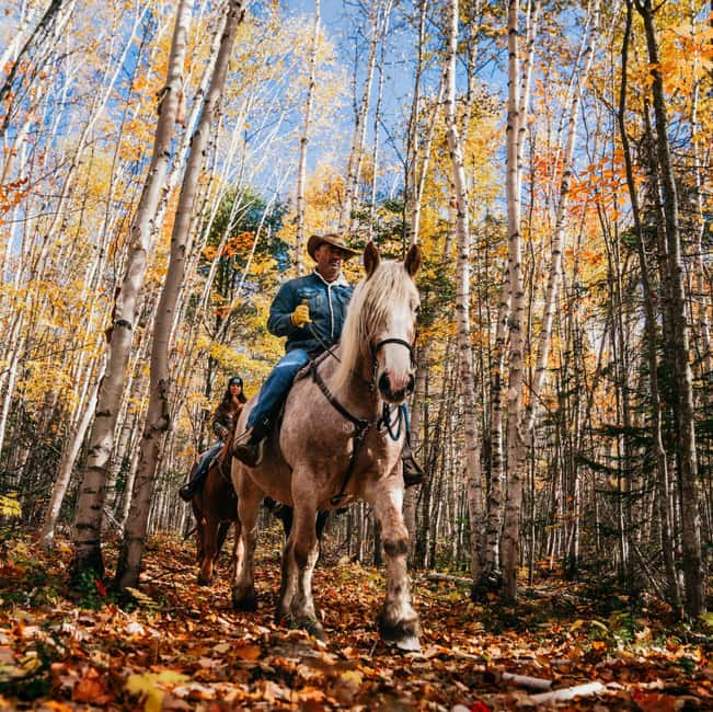 La Bleuetière: A charming introduction to horseback riding - What the one-hour trail is like