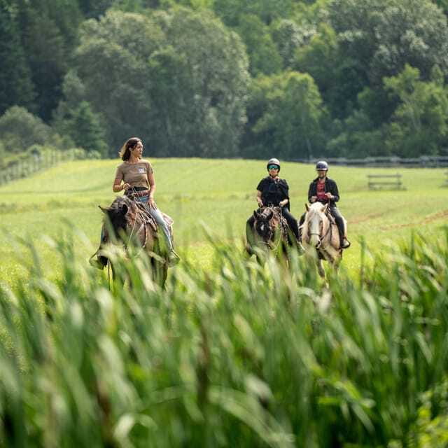 La Bleuetière: A charming introduction to horseback riding - Why the small group matters