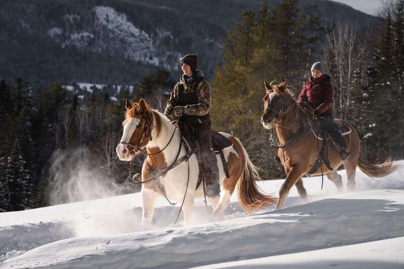 La Bleuetière: A charming introduction to horseback riding - How much value do you get for $68?