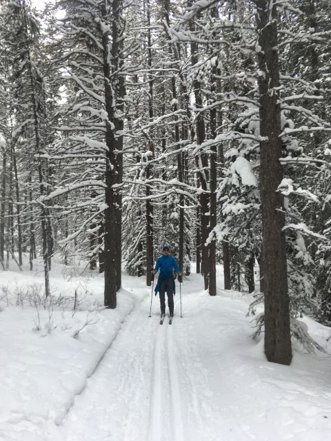 Lake Louise: Cross Country Skiing Lesson with Tour - The first 15 minutes: safety and orientation