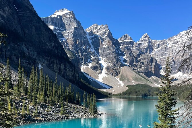 Lake Louise & Lake Moraine Tour - Who will get the most from this outing