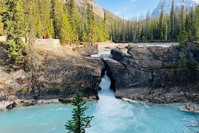 Lake Louise, Moraine/Bow, Emerald & Peyto - 4 Lakes in Banff - Lake Louise, the day’s headline stop