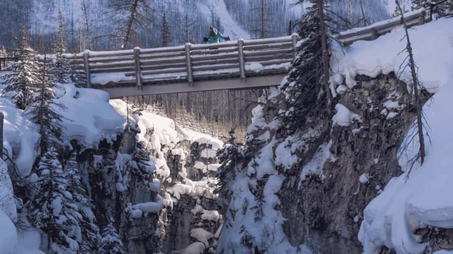Lake Louise, Moraine, & Emerald: From Calgary/Canmore/Banff - Key points to know before booking