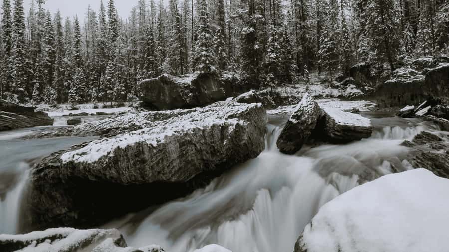 Lake Louise, Moraine, & Emerald: From Calgary/Canmore/Banff - What the small-group format adds