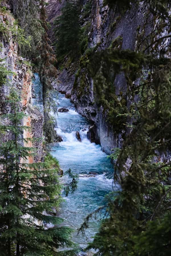 Lake Louise,Moraine,Emerald Lake,Johnston Canyon & BanffTour - What $60 really buys you