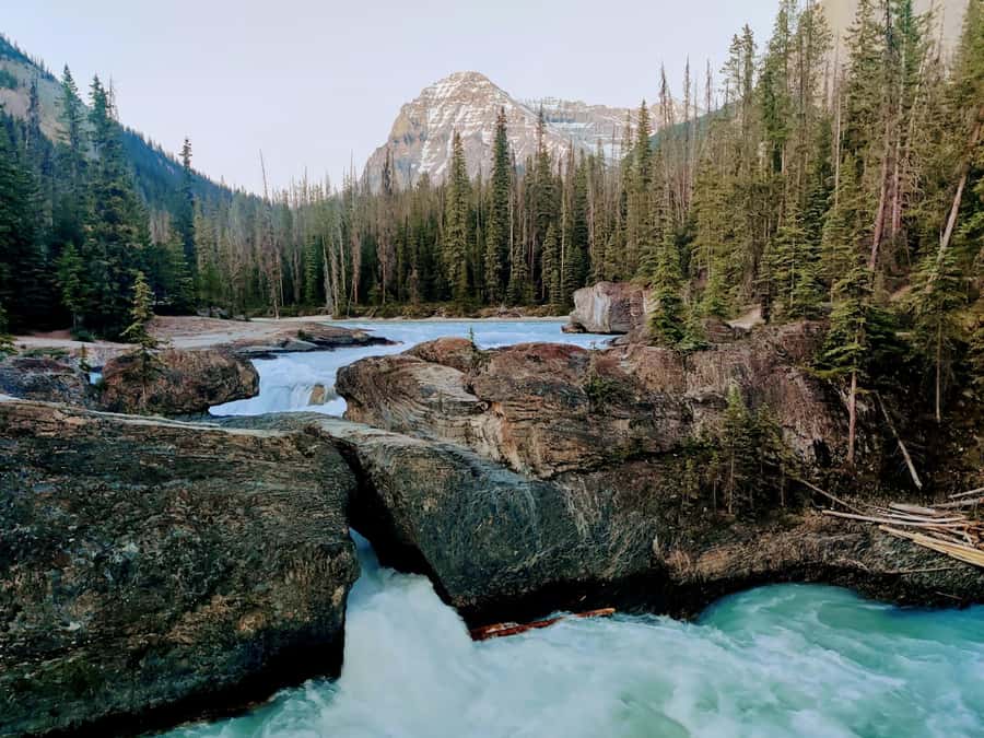 Lake Louise,Moraine,Emerald Lake,Johnston Canyon & BanffTour - Useful booking and timing advice