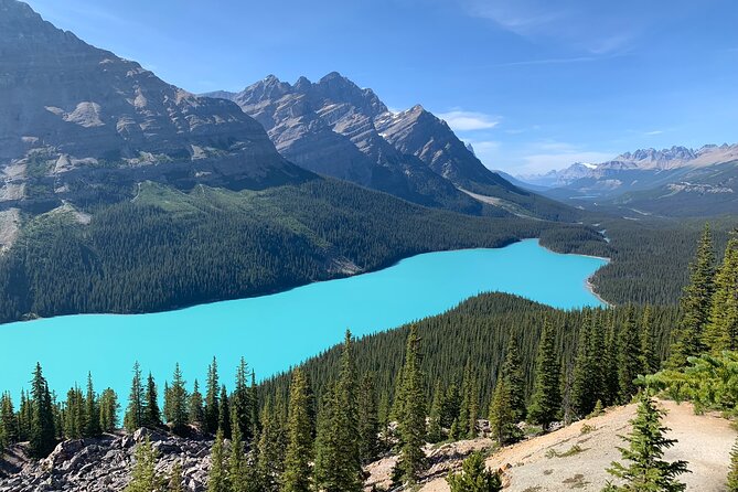 Lake Louise, Moraine Lake and the Icefields Parkway Full-Day Tour - Bow Lake rewards the longer drive