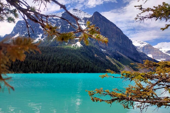 Lake Louise Moraine Lake Johnston Canyon 1.5h Half Day Tour - Why the transport is worth the price