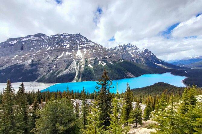 Lake Louise, Moraine Lake, Peyto Lake, Crowfoot, Johnston Canyon - Lake Louise: the star opening stop