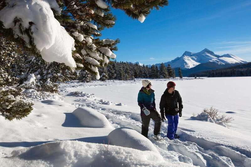 Lake Louise, Peyto Lake, Johnston Canyon & Icefields Parkway - Key points at a glance