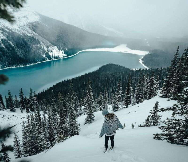 Lake Louise, Peyto Lake, Johnston Canyon & Icefields Parkway - Why this Rockies day trip works