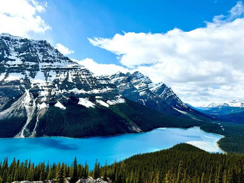 Lake Louise, Peyto Lake, Johnston Canyon & Icefields Parkway - What the guides add to a long day