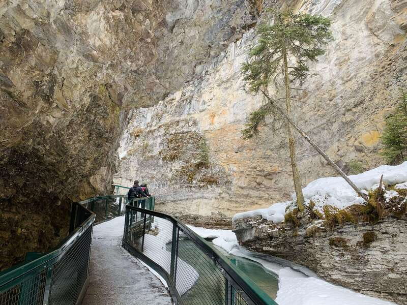Lake Louise, Peyto Lake, Johnston Canyon & Icefields Parkway - Is $76 good value?