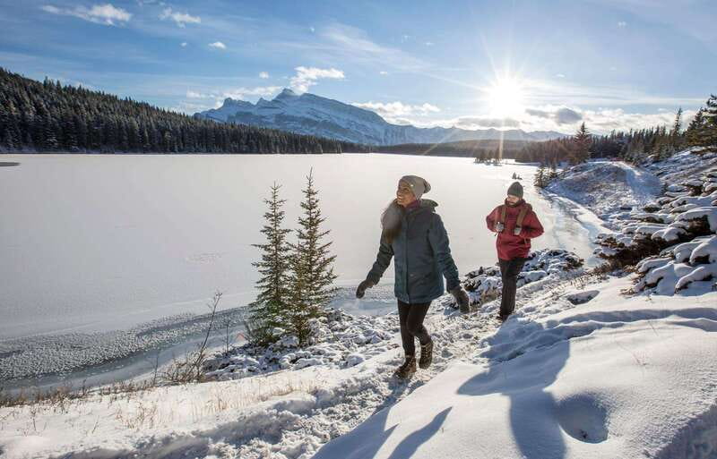 Lake Louise, Peyto Lake, Johnston Canyon & Icefields Parkway - Who should book this experience?