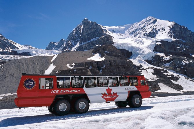 Lake Louise to Jasper One-Way Tour - Athabasca Falls and the final stretch to Jasper