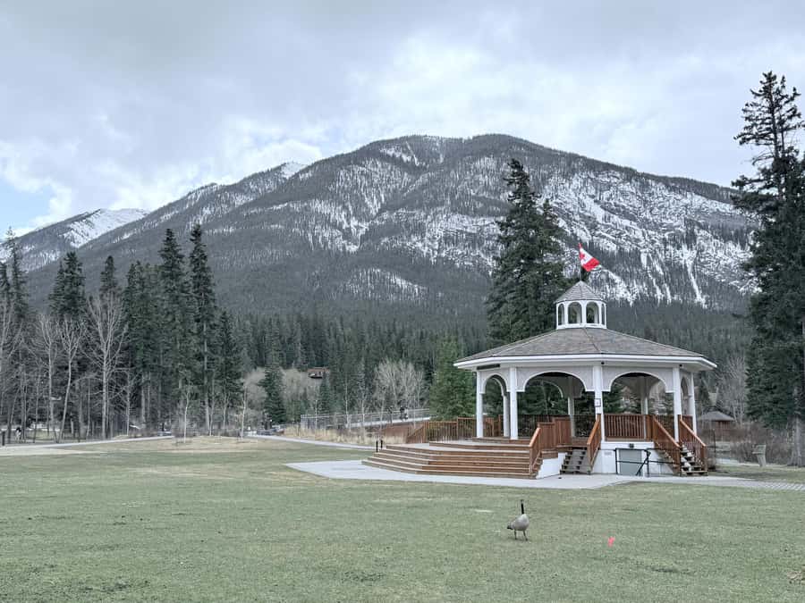 Lake Moraine Lake Louise Johnston Canyon Banff Town Day Tour - How to prepare for the fixed schedule
