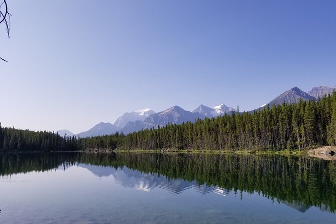 Lake View Tour-Lake Moraine, Louise, Emerald, Peyto, Vermillion - Peyto Lake is the photographic high point