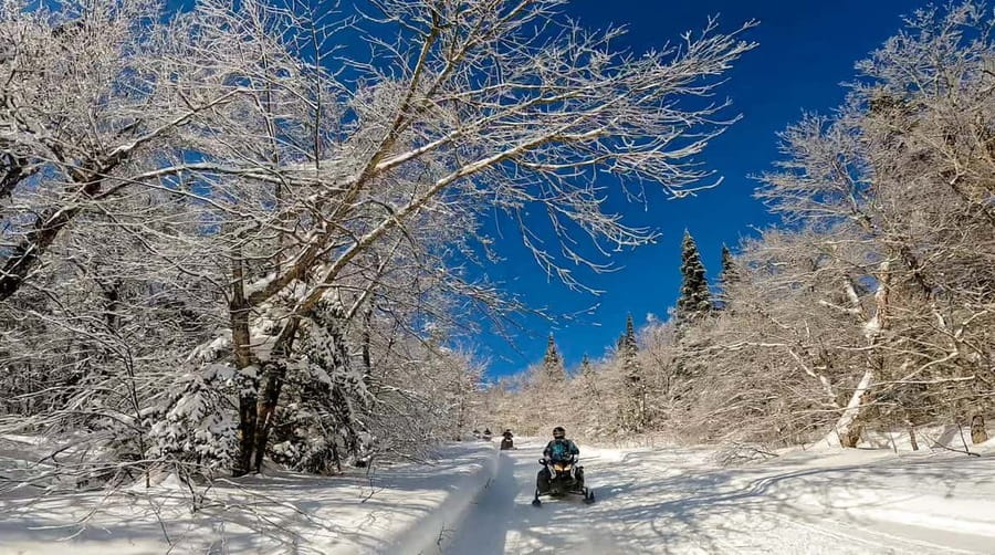 Laurentians: Snowmobile Guided Tour - Who Will Enjoy This Most