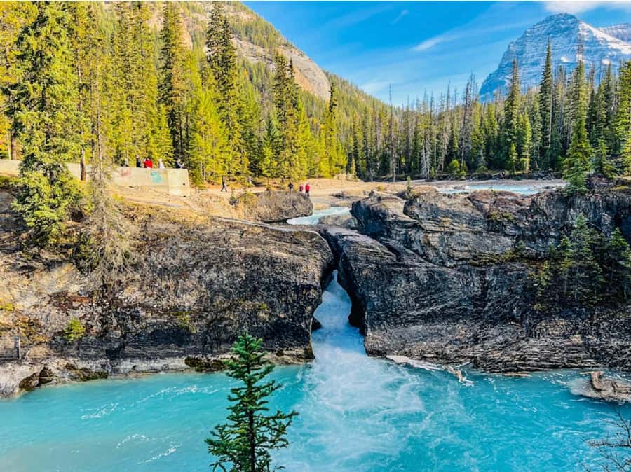 Louise, Moraine/Bow, Emerald, Peyto- 4 Lake Tour - Lake Louise: the classic first stop