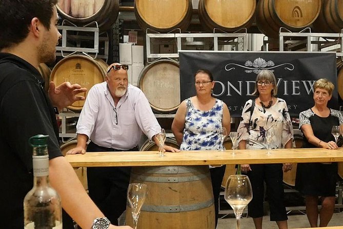 Lunch in the Vineyard: A Scenic Niagara Wine Tour Experience - Bella Terra Vineyards and a family-run feel