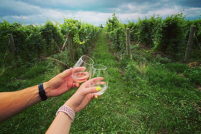 Lunch in the Vineyard: A Scenic Niagara Wine Tour Experience - The guide can shape the whole day
