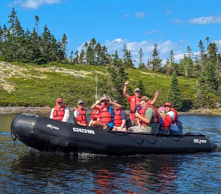 Lunenburg: Zodiac Wildlife Tour with Naturalist Guide - Leaving the wharf near Lunenburg