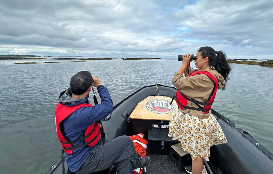 Lunenburg: Zodiac Wildlife Tour with Naturalist Guide - My advice before you reserve