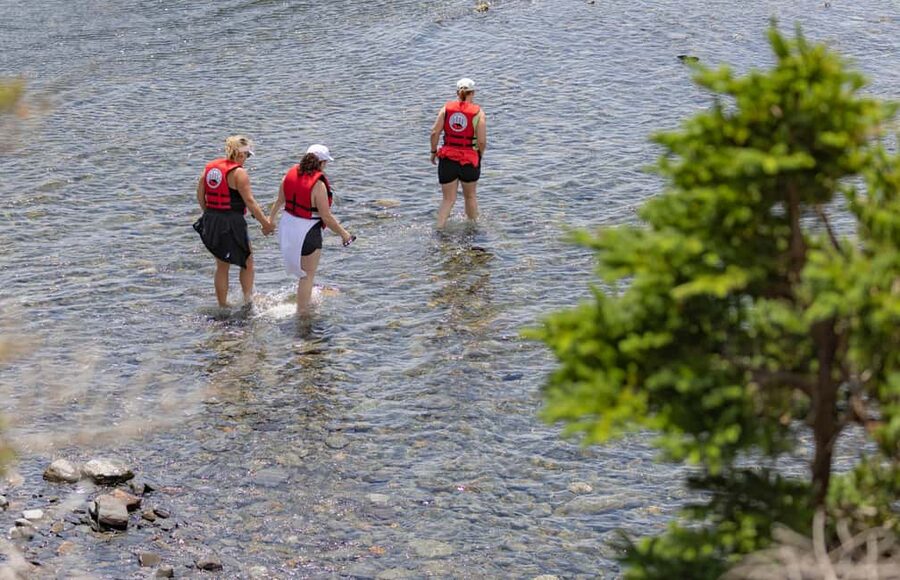 Lunenburg: Zodiac Wildlife Tour with Naturalist Guide - Watching for seals, seabirds, and shore animals