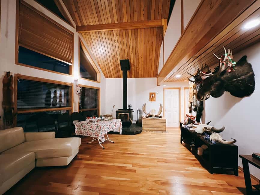 Madeline Lake: Aurora Lodge and Aurora Chasing Tour - Who should book this experience