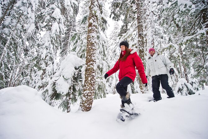 Medicine Trail Snowshoe Tour - A Forest Walk, Not Just a Snowshoe Rental