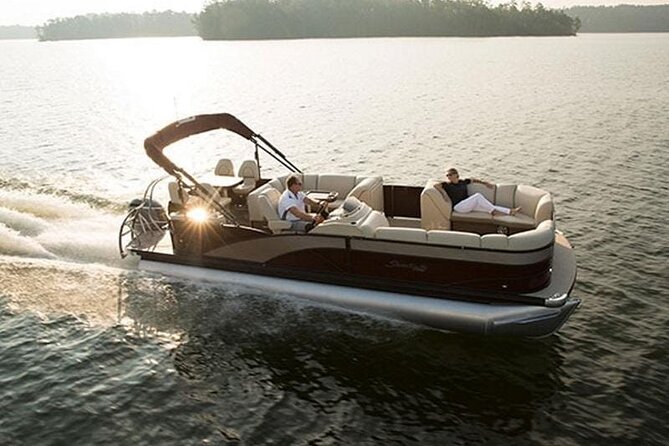 Meet The Seals Boat Tour - Travel by boat to a Secret Seal Cove - Booking and cancellation details