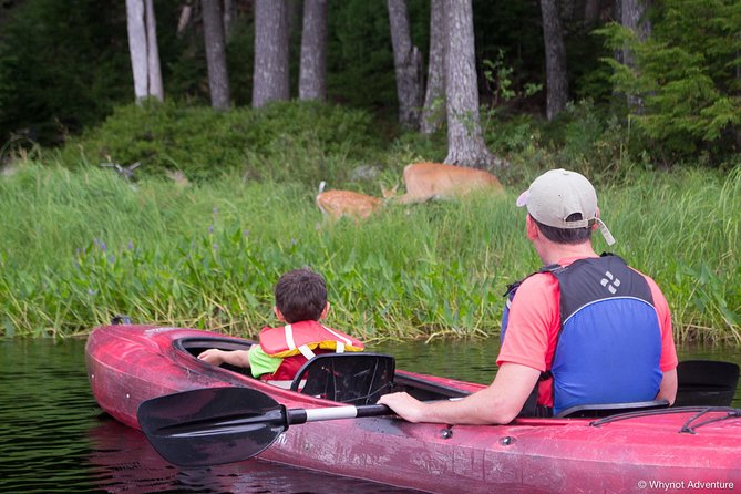 Mersey River Quickie Adventure - 2 Hours - What the two-hour route offers