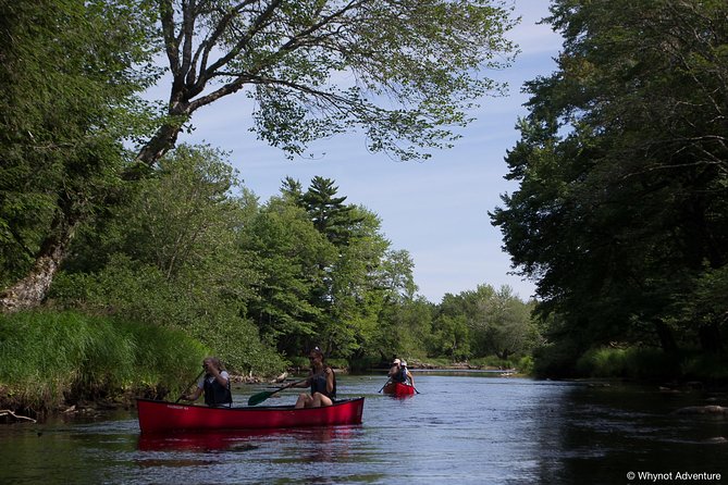 Mersey River Quickie Adventure - 2 Hours - Who should book this paddle?