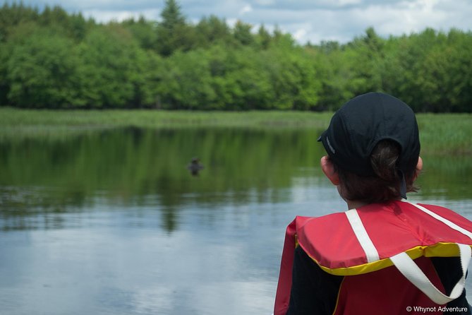 Mersey River Quickie Adventure - 2 Hours - Starting at Jake’s Landing at noon