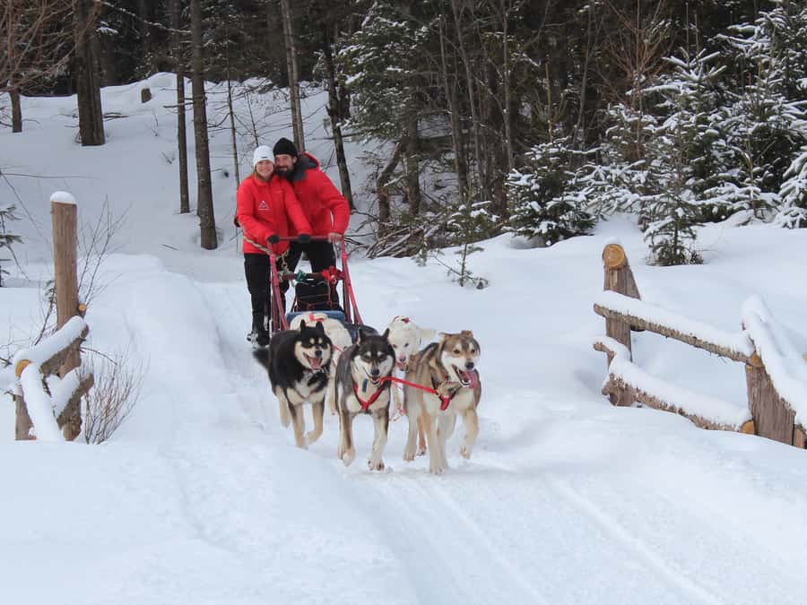 Mont-Tremblant: Dogsledding Valley Adventure - Key points to know before you go