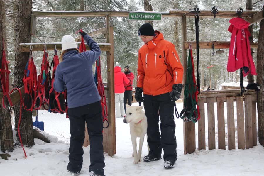 Mont-Tremblant: Dogsledding Valley Adventure - Forest trails with hills and quick turns