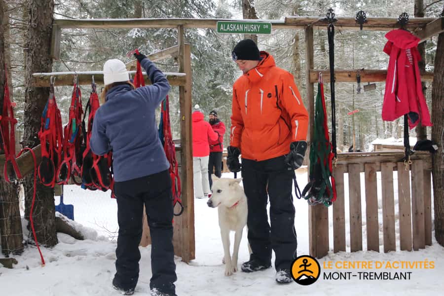 Mont-Tremblant: Dogsledding Valley Adventure - A fire-shack break halfway through