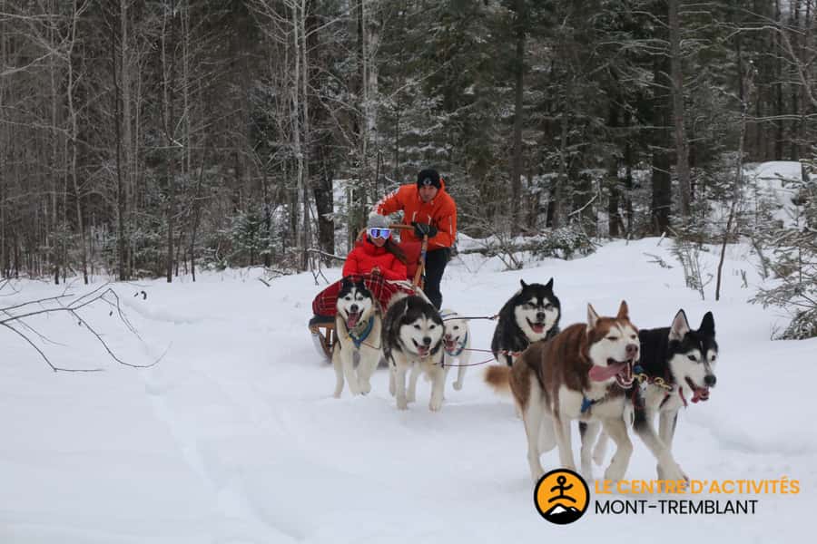 Mont-Tremblant: Dogsledding Valley Adventure - Soup and more dog time at the kennel