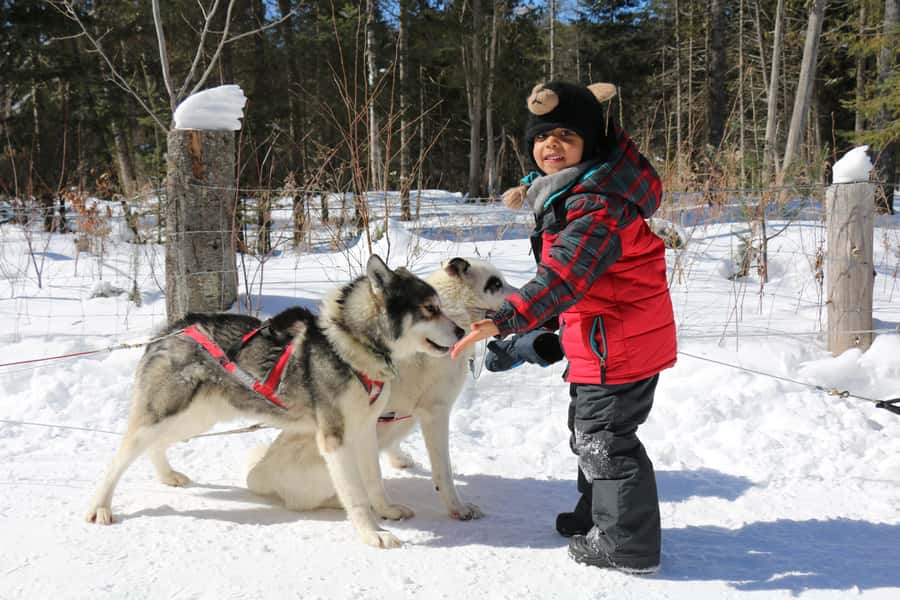 Mont-Tremblant: Dogsledding Valley Adventure - Timing, group size, and the drive to the lodge